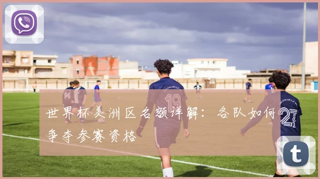 世界杯美洲区名额详解：各队如何争夺参赛资格