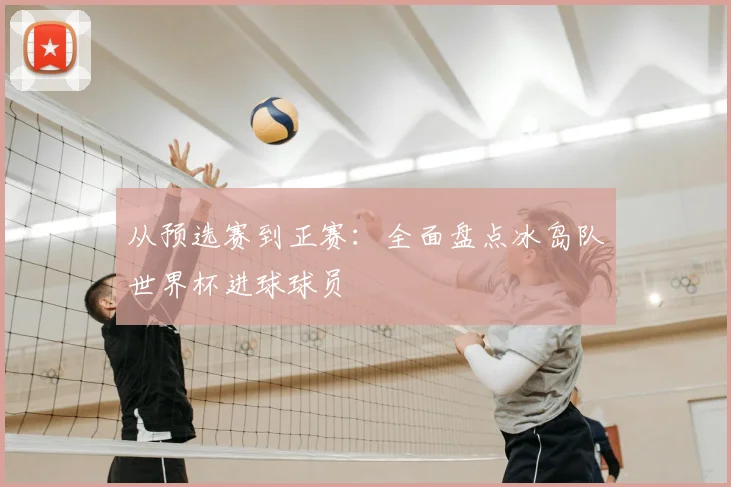 从预选赛到正赛：全面盘点冰岛队世界杯进球球员