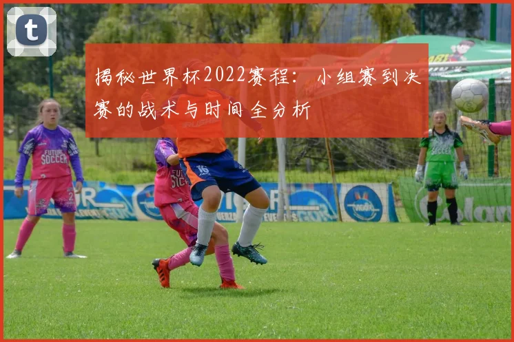 揭秘世界杯2022赛程：小组赛到决赛的战术与时间全分析