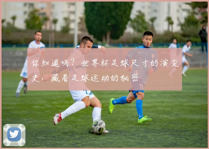 你知道吗？世界杯足球尺寸的演变史，藏着足球运动的秘密