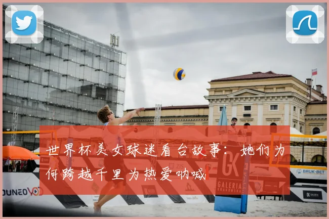 世界杯美女球迷看台故事：她们为何跨越千里为热爱呐喊