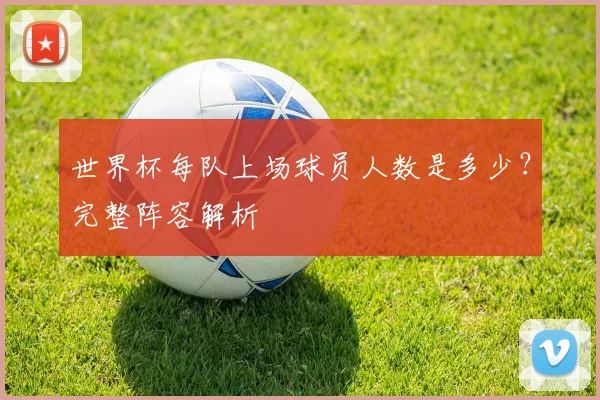 世界杯每队上场球员人数是多少？完整阵容解析