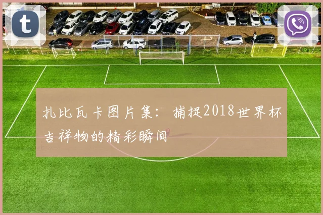 扎比瓦卡图片集：捕捉2018世界杯吉祥物的精彩瞬间