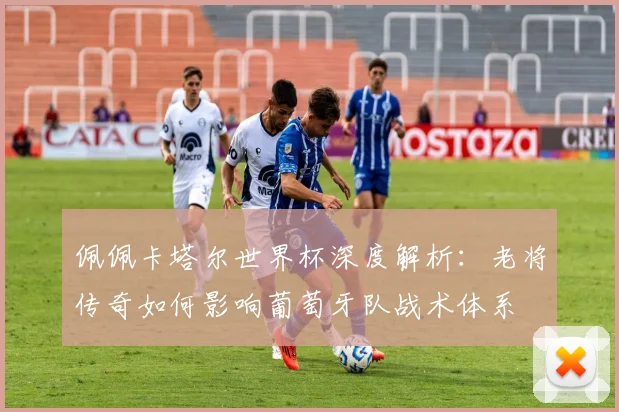佩佩卡塔尔世界杯深度解析：老将传奇如何影响葡萄牙队战术体系