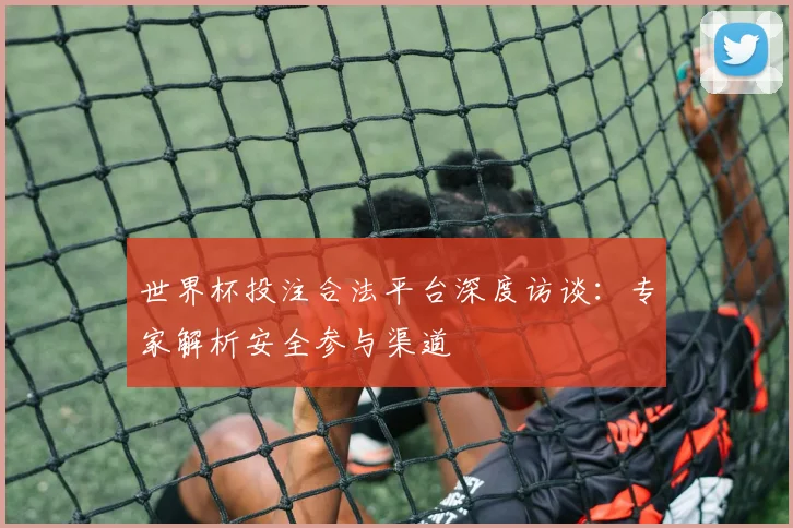 世界杯投注合法平台深度访谈：专家解析安全参与渠道