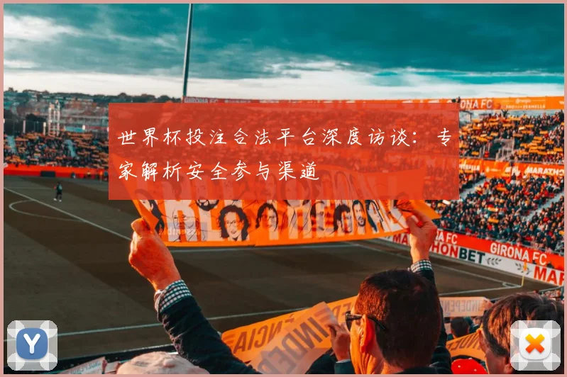 世界杯投注合法平台深度访谈：专家解析安全参与渠道