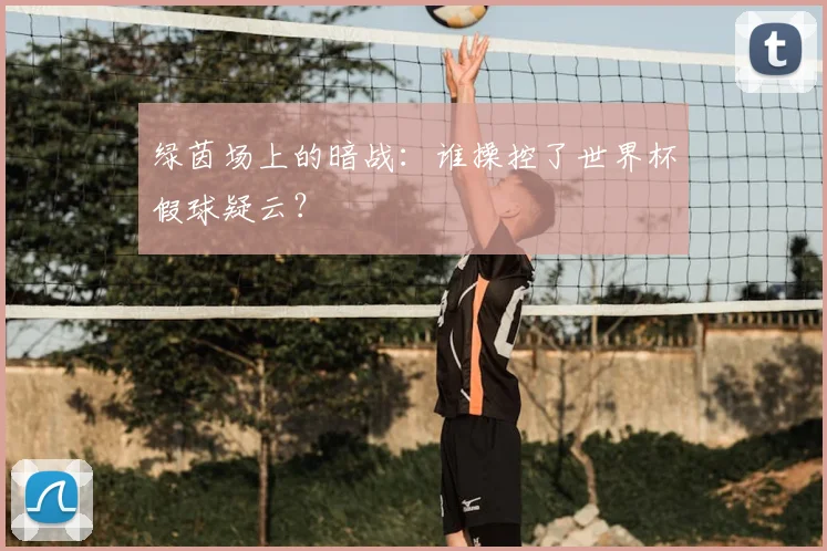 绿茵场上的暗战：谁操控了世界杯假球疑云？